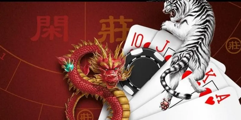 Chiến thuật cược Rồng Hổ nào được các chuyên gia ưa chuộng?
